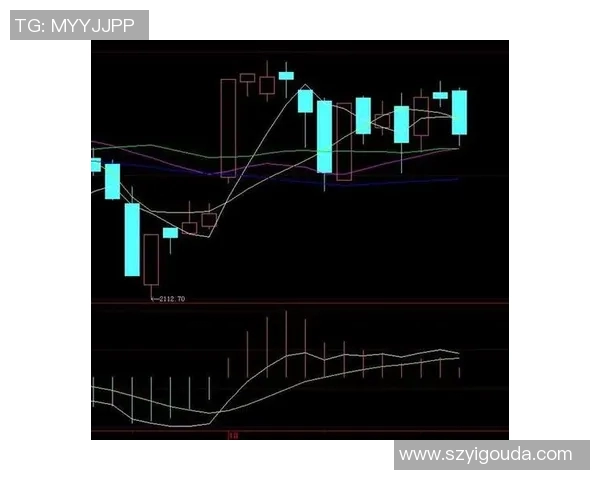 深入分析成都网球队的防守策略与战术布局探讨 深入分析成都网球队的防守策略与战术布局探讨