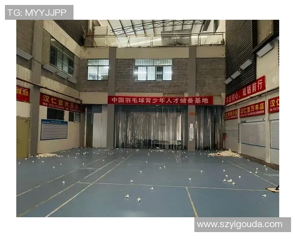 深圳羽毛球队在钻石联赛中的精彩表现与力量分析 深圳羽毛球队在钻石联赛中的精彩表现与力量分析