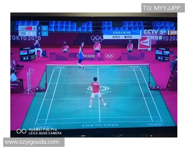 成都羽毛球队的战术解析与控制策略深度剖析