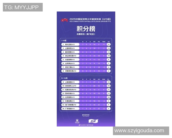 武汉足球队技术实力强劲荣登全国足球技术排行榜第三位