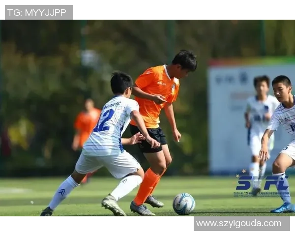 新顾城足球崛起之路：打造青少年足球梦想与社区文化融合的新篇章