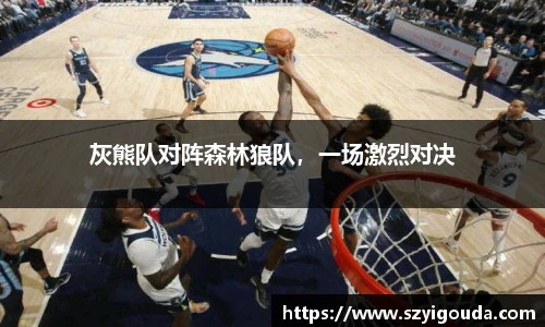 灰熊队对阵森林狼队，一场激烈对决