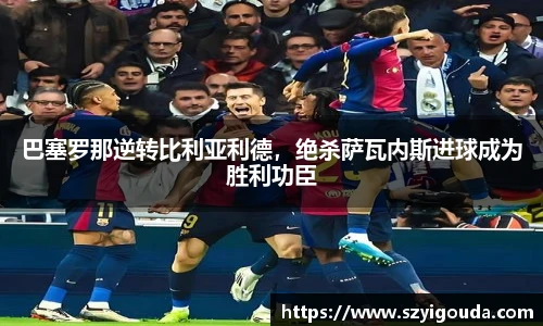 bsports必一体育