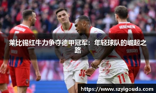 莱比锡红牛力争夺德甲冠军：年轻球队的崛起之路