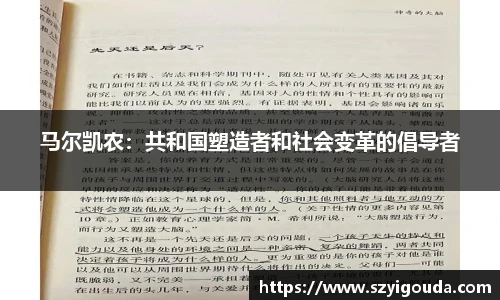 bsports必一体育