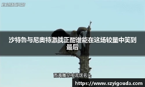 必一运动官网